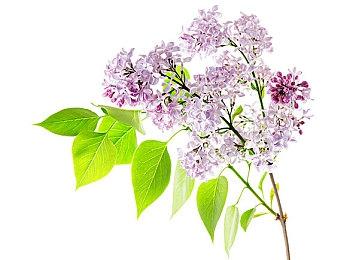 《夺宝奇兵：古老之圈》新预告 将于年内发售